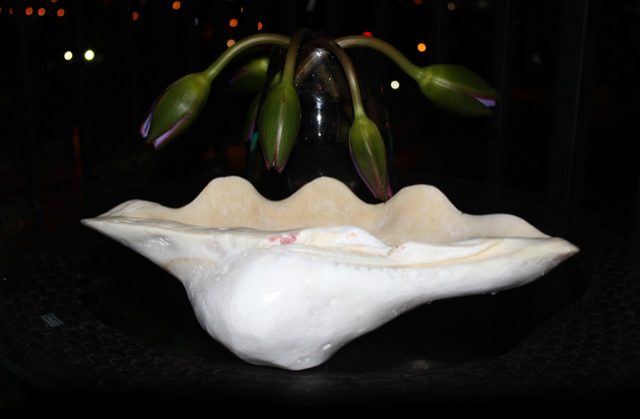 双喜临门&mdash;龙宫玉盘